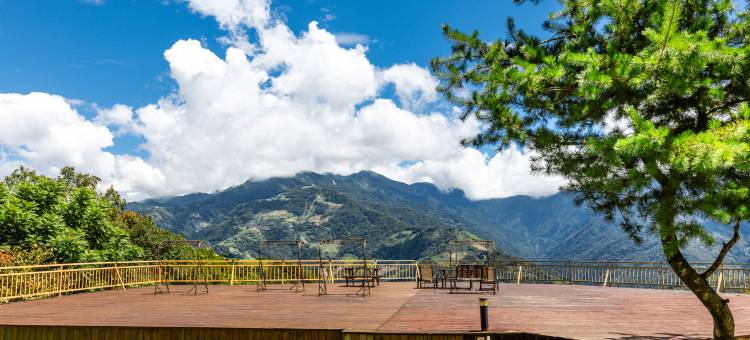 南投清境之星乐活民宿图片