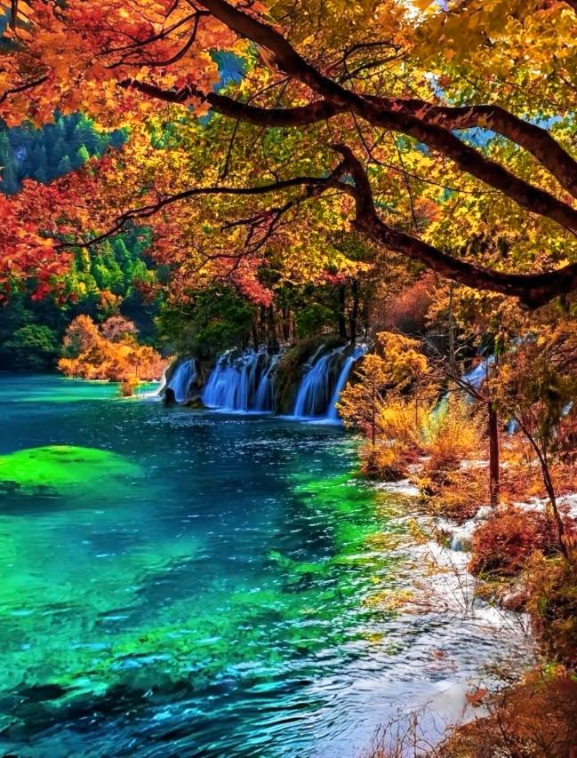 丽呈朗誉酒店(九寨沟县城店)图片