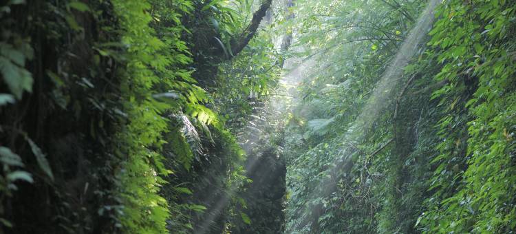 普拉玛纳吉里库苏玛酒店(Pramana Giri Kusuma)图片