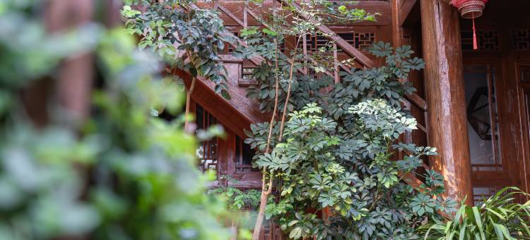 花语梦境·唯美私人品质度假观景庭院(丽江古城四方街店)图片