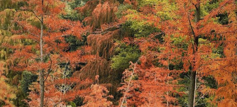亚信电竞酒店(东莞虎门高铁站万达广场店)图片