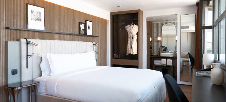 巴黎左岸艺术女士酒店(Hotel Dame des Arts)图片