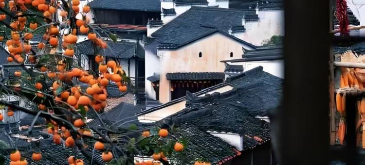 凡季·villa野奢观景休闲度假美宿(篁岭风景区店)图片
