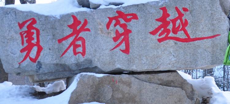 雪谷·董老三度假美宿(东升林场店)图片