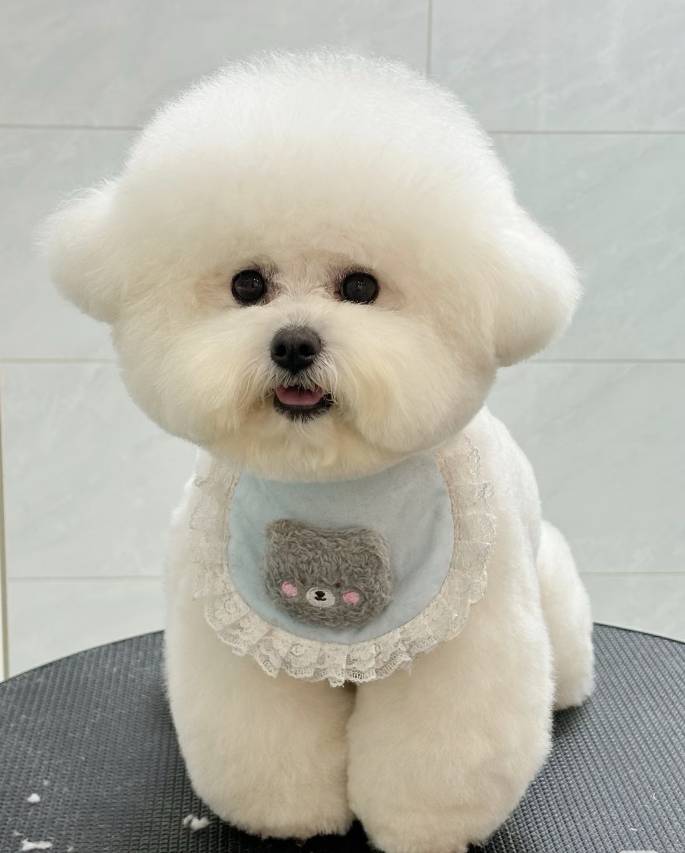 婺源江月风行客桟图片