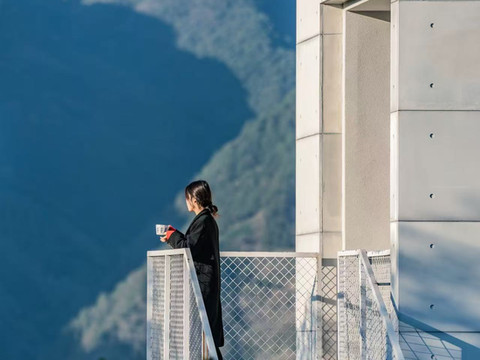 丽水遂昌乐领万亩茶海庄园
