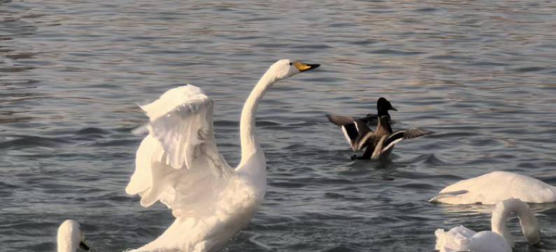 简诺印记酒店(库尔勒站巴州博物馆中心店)图片