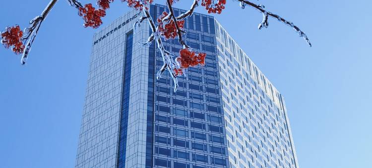 长春凯悦酒店图片