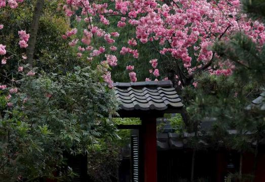 乐道山居酒店外景图
