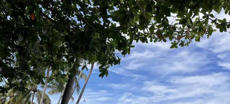 薄荷海棠度假村(Bohol Begonia Resort)图片