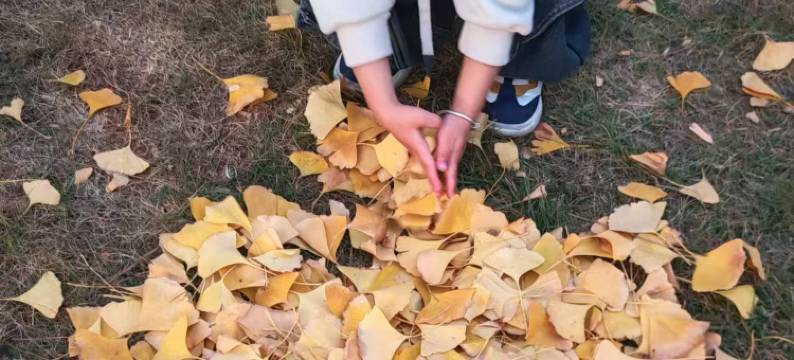 相遇青年公寓(深圳罗湖口岸火车站店)图片