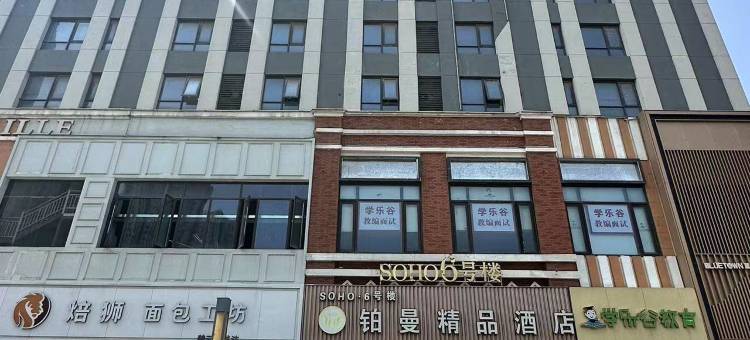 徐州铂曼精品酒店(江苏师大铜山万达店)图片