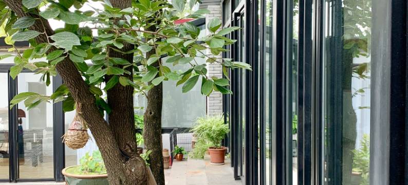 保定晴耕雨读民宿图片