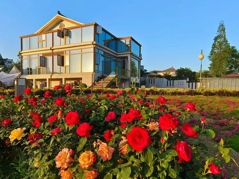 南京黄龙岘瑞轩庭院