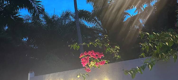 菠萝的海.度假别墅(中文管家服务+免费酒店往返镇上/码头班车)(OPINE.VILLAS)图片