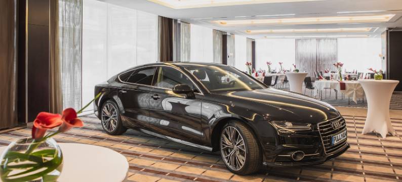 巴塞罗·德累斯顿·纽瓦(Barceló Dresden Newa)图片