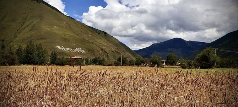 康定古碉观景民宿图片