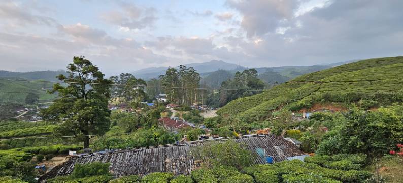 7 马莱民宿(7 Malai Residency Munnar)图片