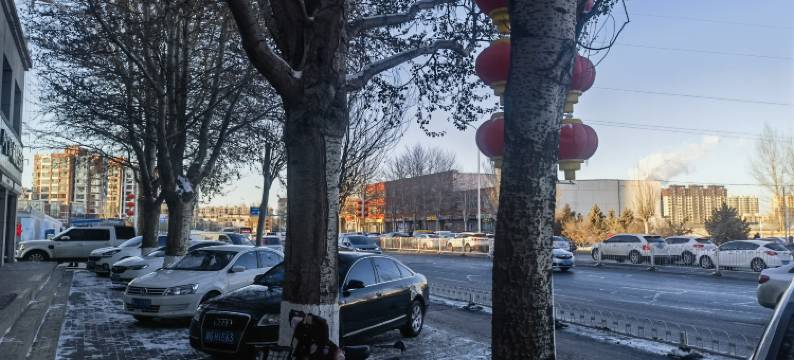 陌野艺术影宿图片