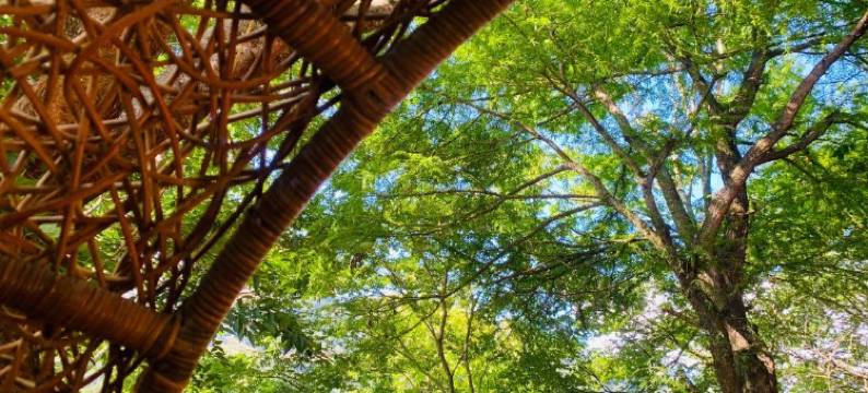 南投森之秘汤图片