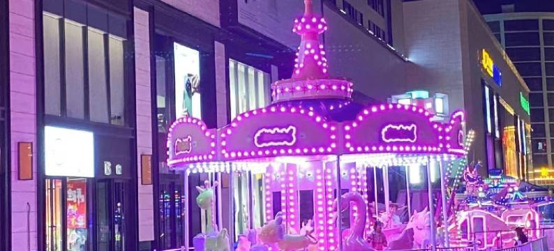 大同凯悦主题客栈(大同古城店)图片