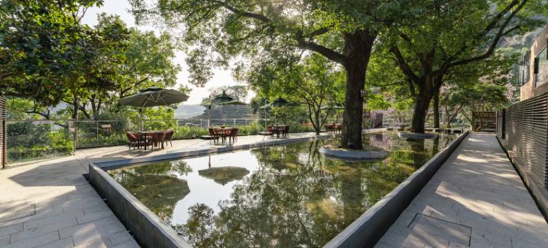 杭州龙井茂居酒店图片