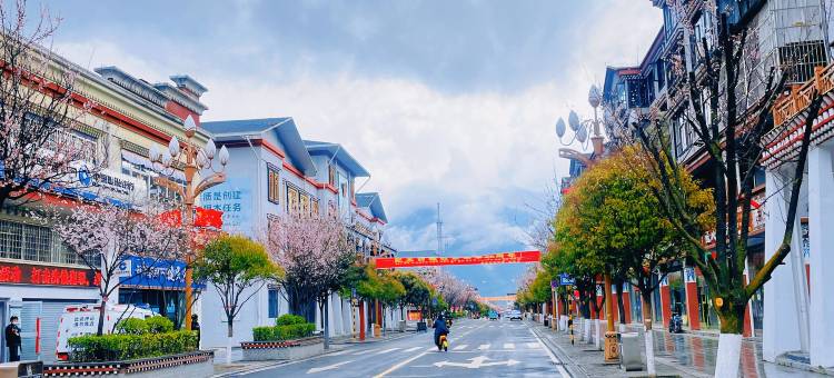 米林洪斌银鑫大酒店图片