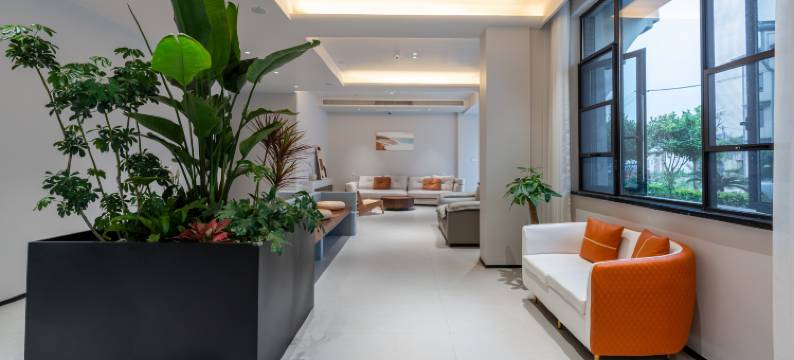 乌镇西栅一只羊民宿图片