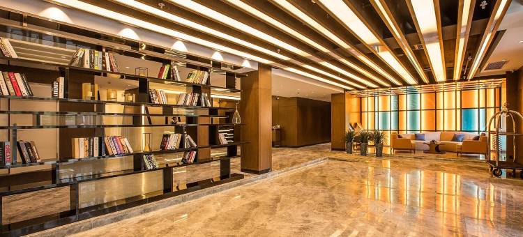 美丽豪酒店(大连高新万达广场店)图片