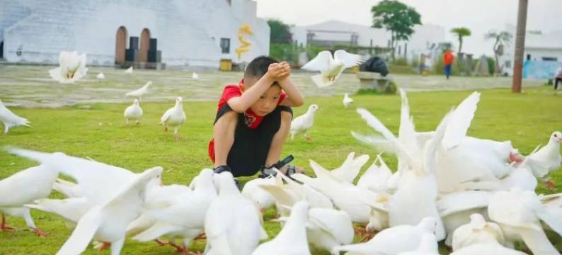 海丝首港海景度假酒店图片