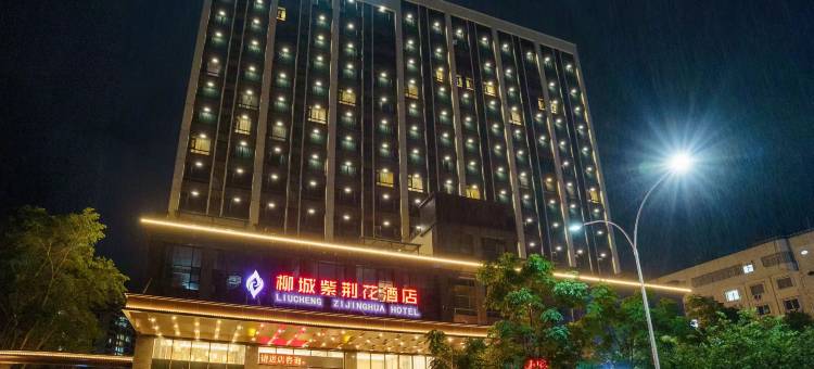 柳城紫荆花酒店图片