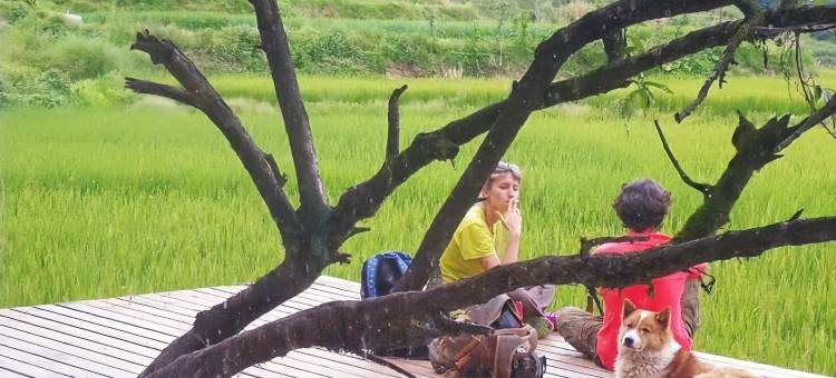 元阳梯田上精品民宿(多依树店)图片