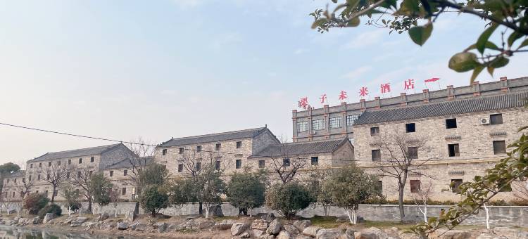 颍上栗子未来酒店图片