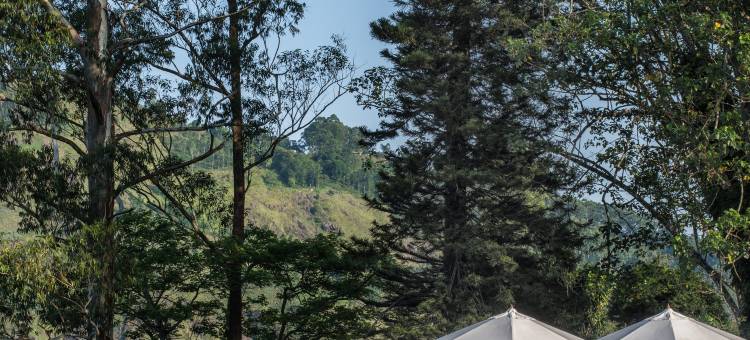 九霄云栖(Nine Skies)图片