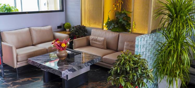 浠水君泰大酒店图片