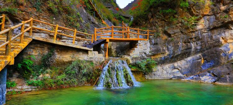 山阳天蓬山寨森林康养基地图片