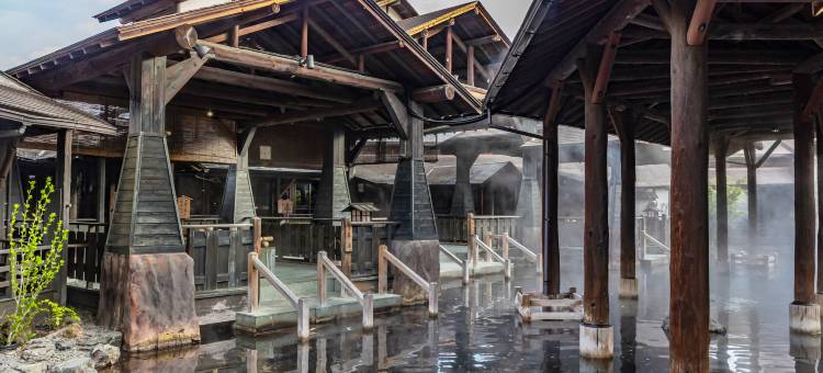 维尔港夏威夷 Spa 度假村(Spa Resort Hawaiians Vir Port)图片