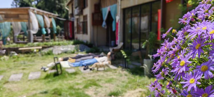 花漫里·禅修疗愈民宿(云和梯田景区店)图片