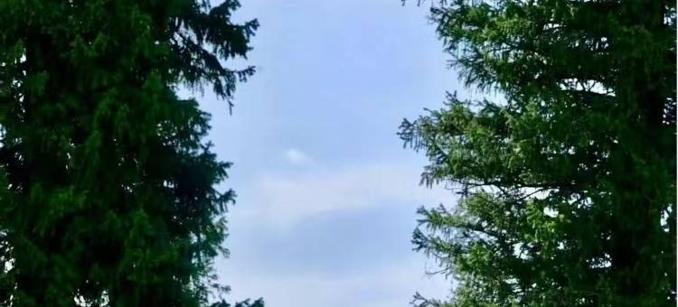良栖山院·Sunshine山与叁山设计师度假民宿(喀纳斯景区店)图片