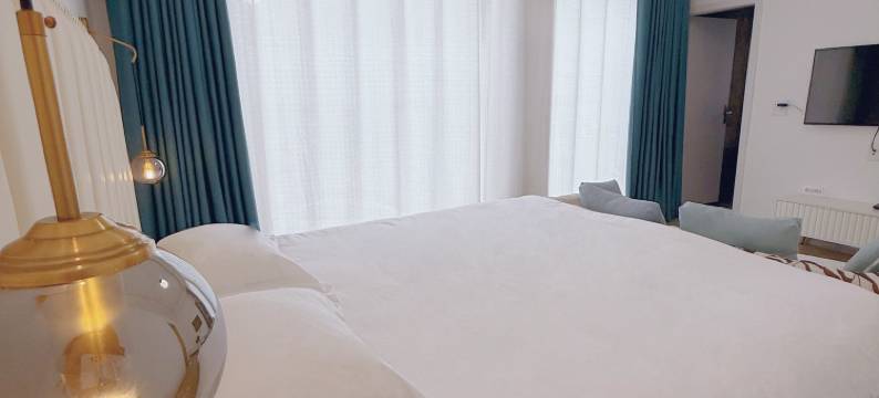 莫干山乐野·听山民宿(庾村广场店)图片