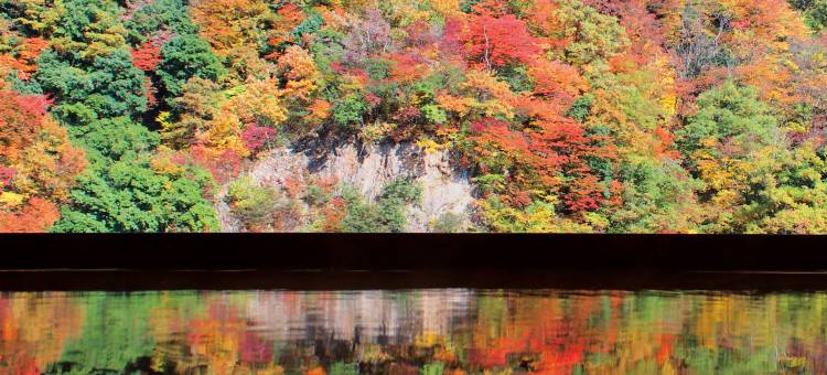 圆乐日式旅馆(Enraku)图片