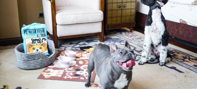 天津光合谷温泉度假酒店图片