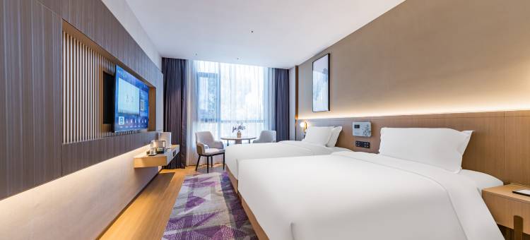 麗枫酒店(拉萨布达拉宫广场店)图片