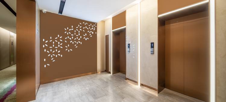 麗枫酒店(洛阳龙门高铁站店)图片