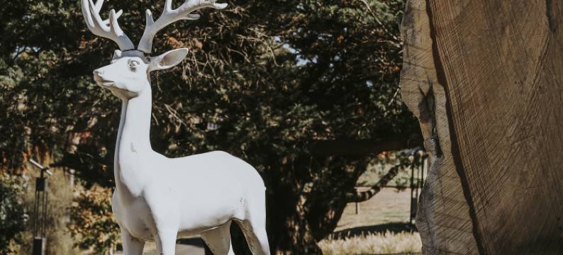 铁溪湾庄园(Iron Creek Bay Estate)图片