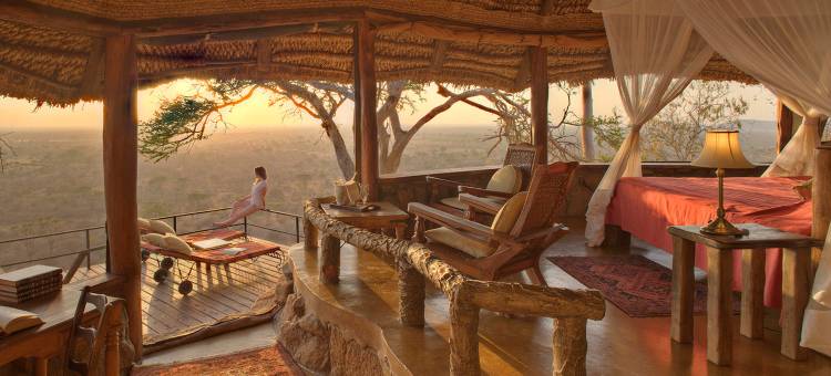 艾勒瓦纳艾尔萨克佩哈酒店(Elewana Elsa's Kopje Meru)图片