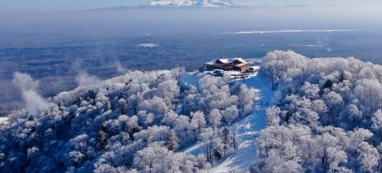 长白山万达悦华酒店图片