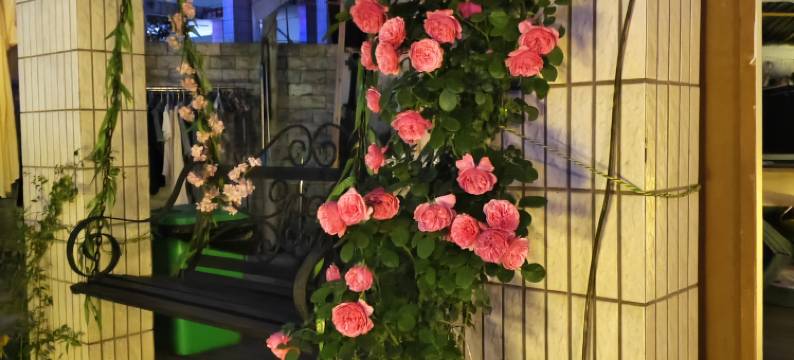 重庆女游侠纯女生青年旅舍(观音桥店)图片