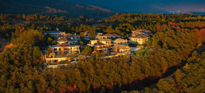 野山野森林温泉度假酒店图片