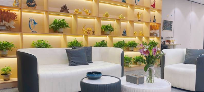 惠州 PSIAP 品尚国际公寓(惠州高铁北站小金口店)图片